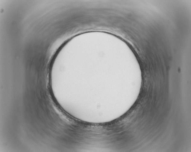 X0000088221511200706121817