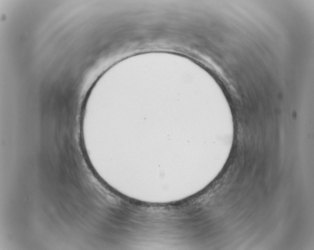 X0000088221512200706121817