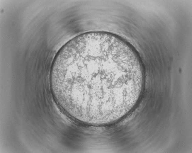 X0000088221513200706121817