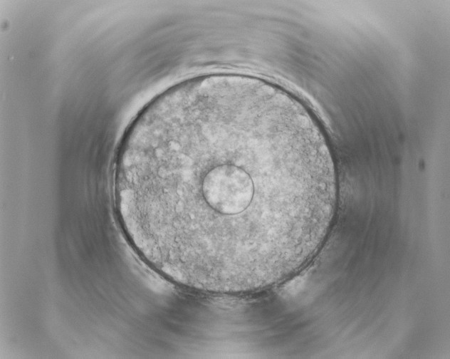 X0000088221514200706121817