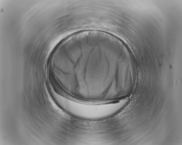 X0000088221515200706121817