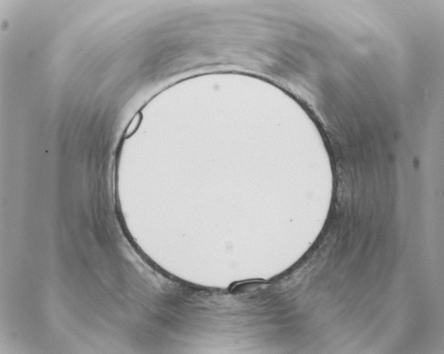 X0000088221516200706121817