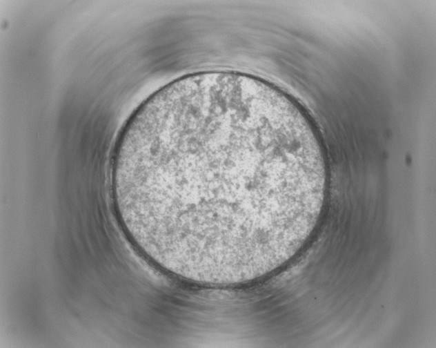 X0000088221517200706121817