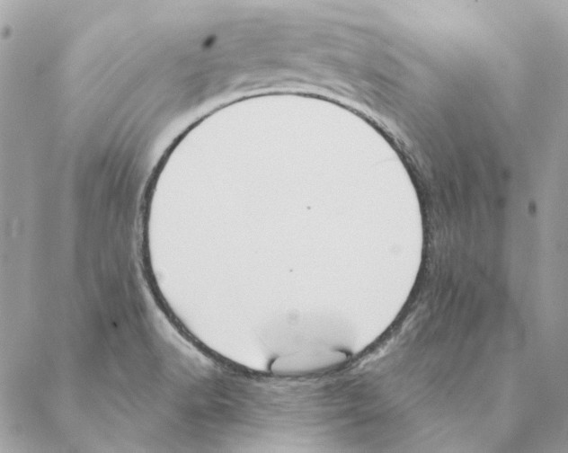 X0000088221518200706121817