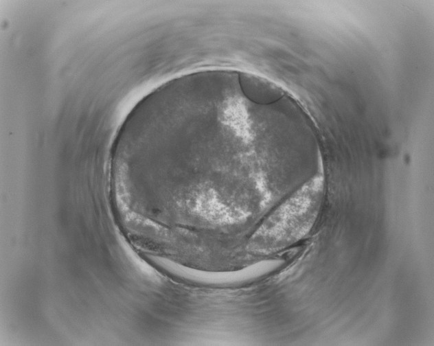 X0000088221519200706121817