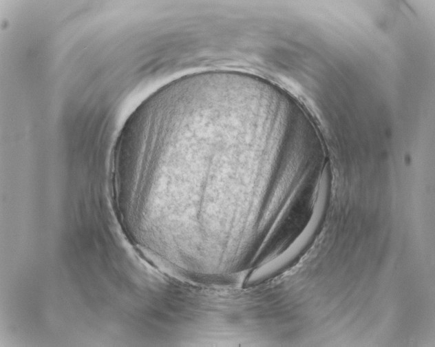 X0000088221520200706121817