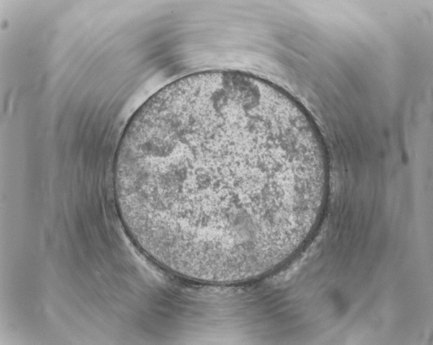 X0000088221521200706121817