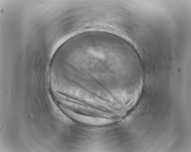 X0000088221522200706121817