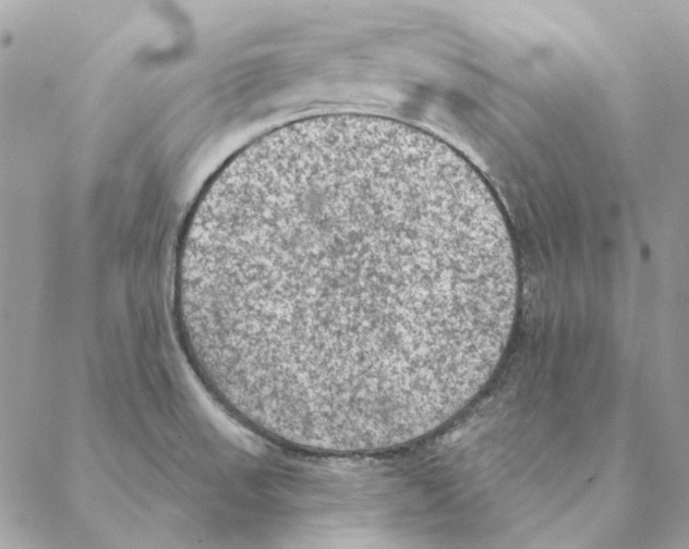 X0000088221523200706121817