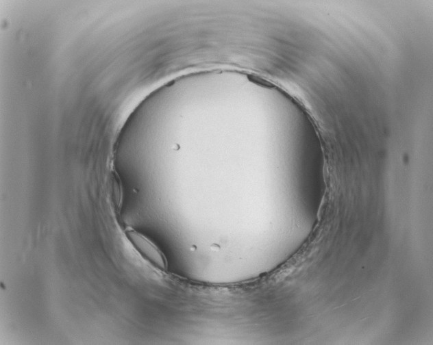 X0000088221524200706121817