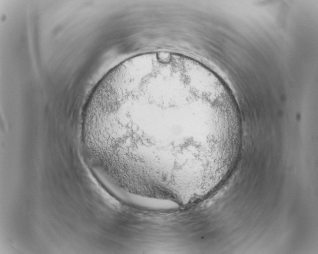 X0000088221525200706121817