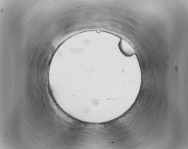 X0000088221526200706121817