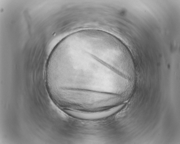 X0000088221527200706121817