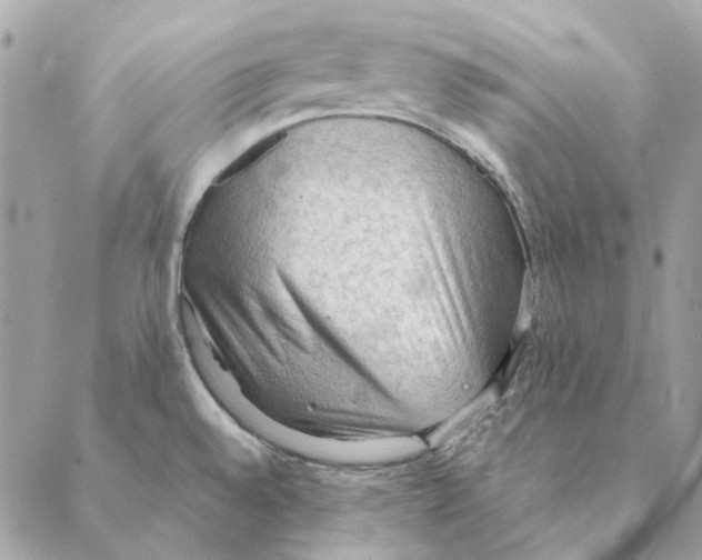 X0000088221528200706121817