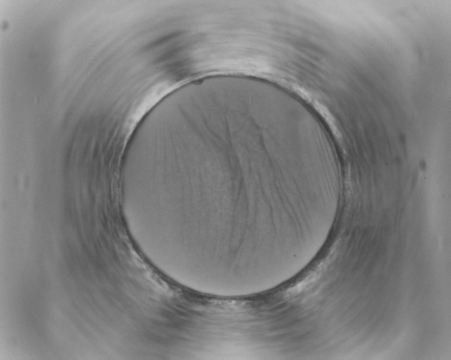 X0000088221529200706121817