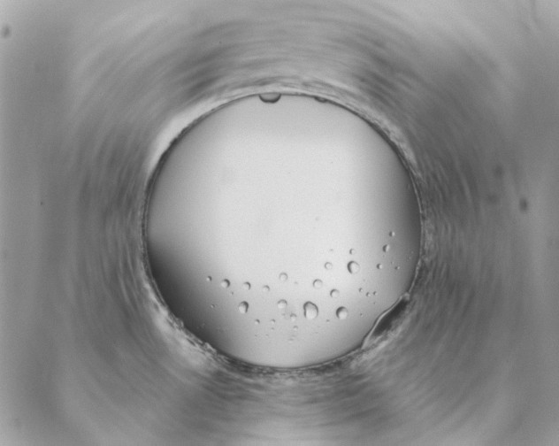 X0000088221530200706121817