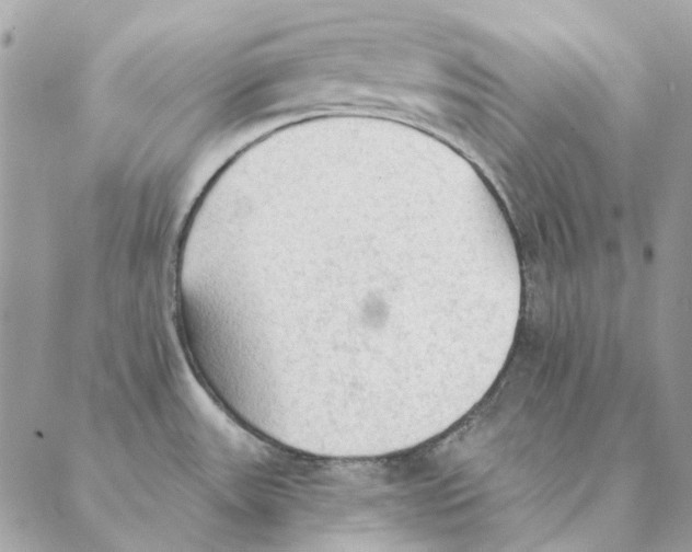 X0000088221531200706121817