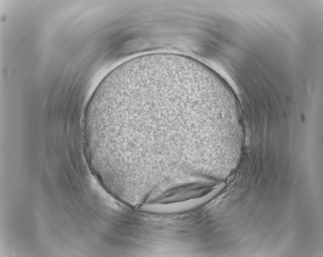 X0000088221532200706121817