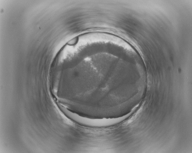 X0000088221533200706121817