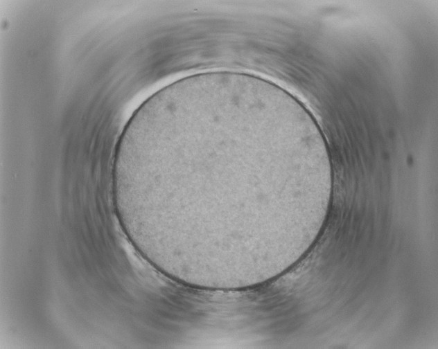 X0000088221534200706121818