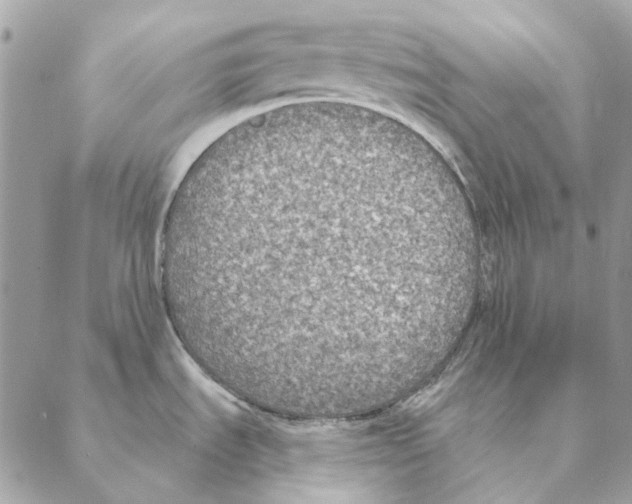 X0000088221535200706121818