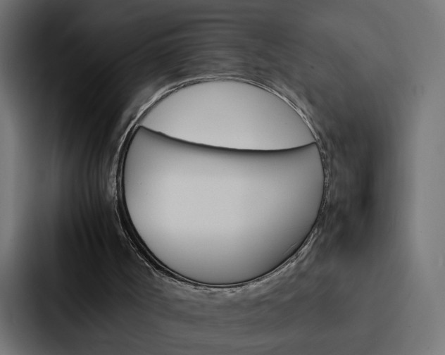 X0000088230002200705151058
