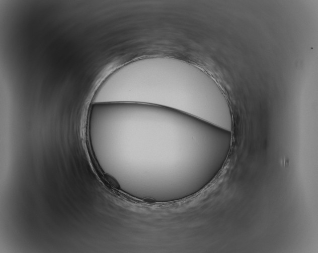 X0000088230003200705151058