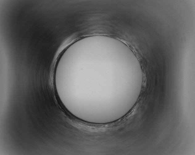 X0000088230004200705151058