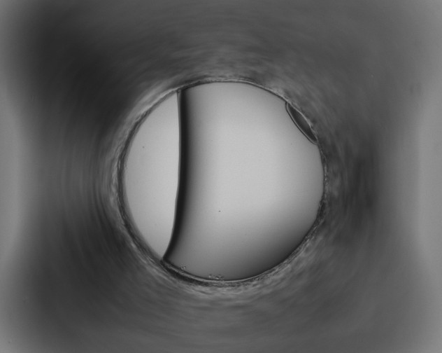 X0000088230005200705151058