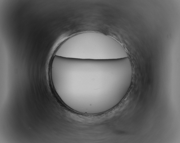 X0000088230006200705151058