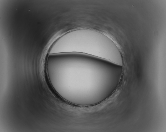 X0000088230007200705151058