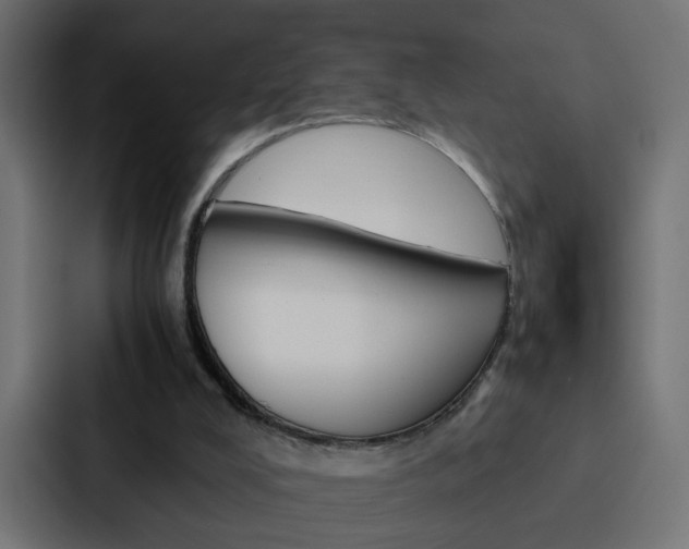 X0000088230008200705151058