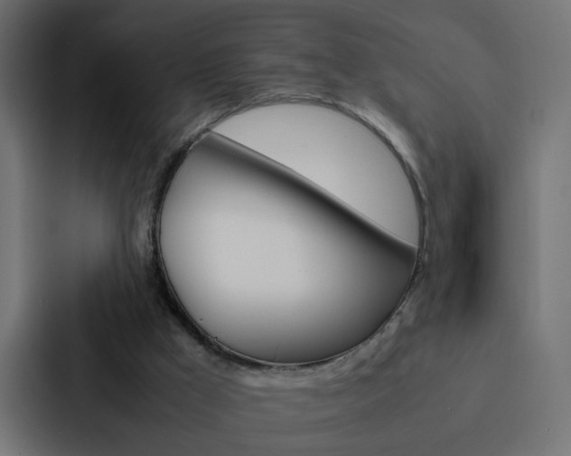 X0000088230009200705151058