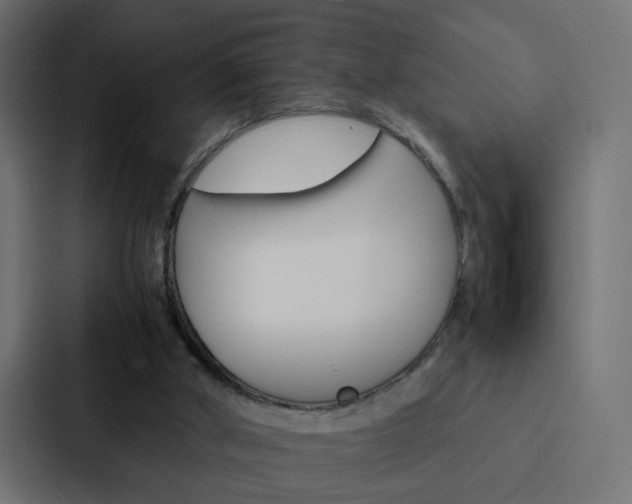 X0000088230010200705151058