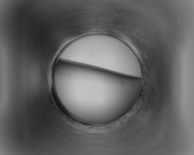 X0000088230011200705151058