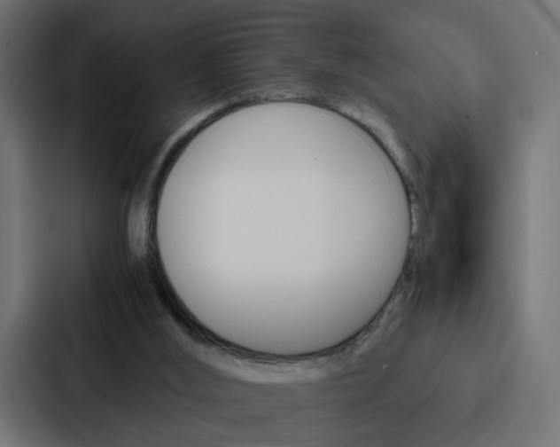 X0000088230012200705151058