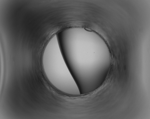 X0000088230013200705151058
