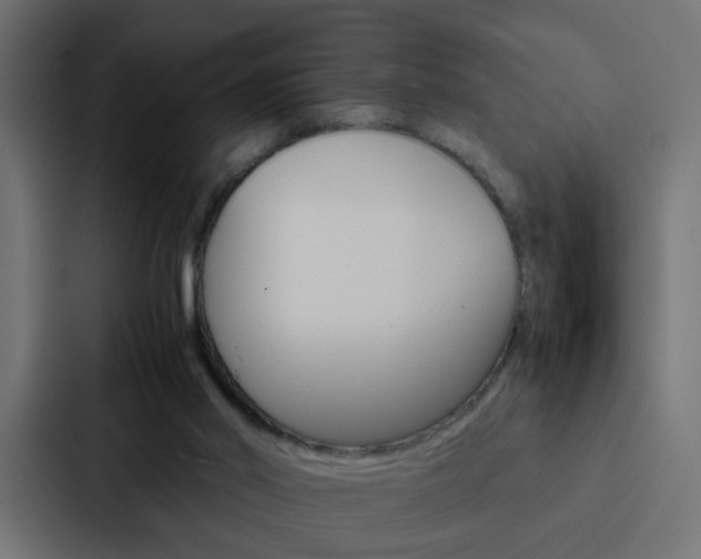 X0000088230014200705151058