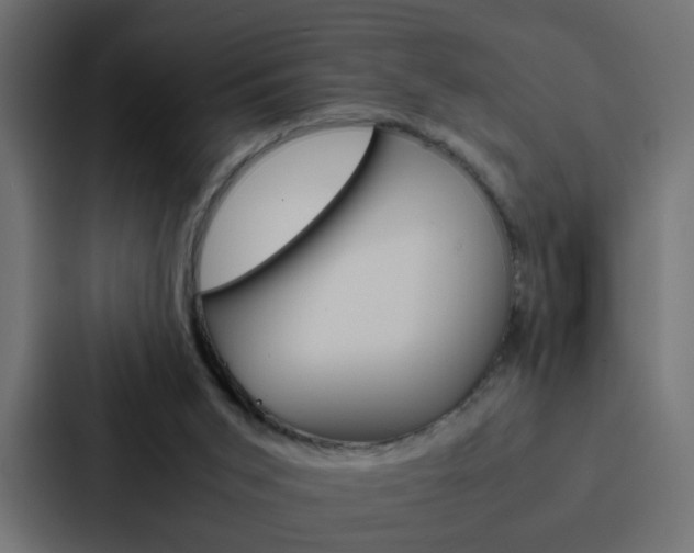 X0000088230015200705151058