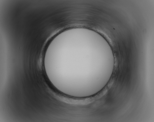 X0000088230016200705151058