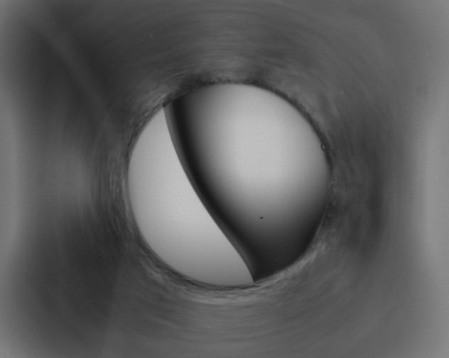 X0000088230017200705151058