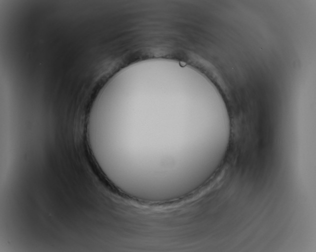 X0000088230018200705151058