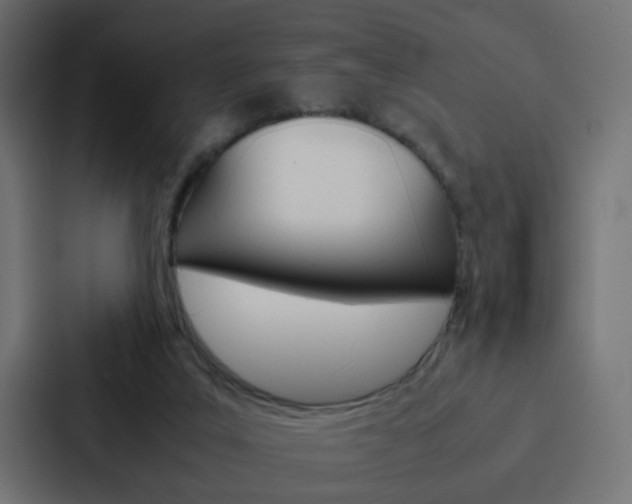 X0000088230019200705151058