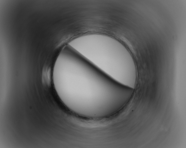 X0000088230020200705151058