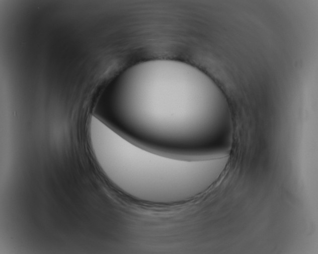 X0000088230021200705151058