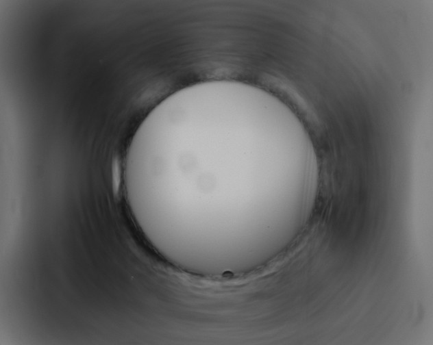 X0000088230022200705151058