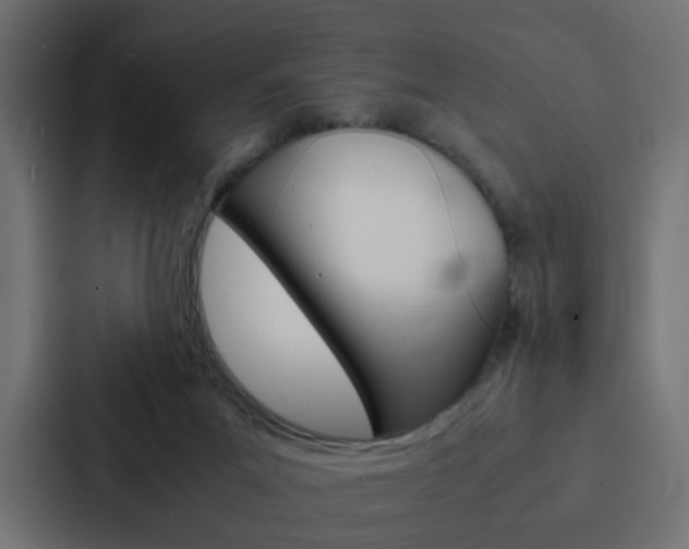 X0000088230023200705151058
