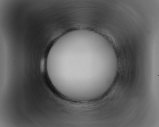 X0000088230024200705151058