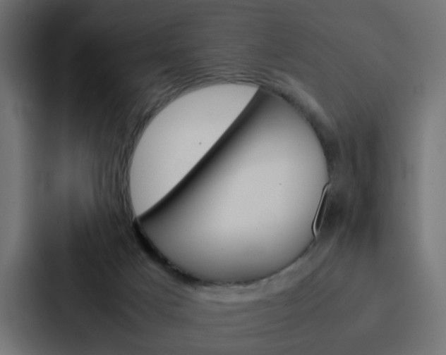 X0000088230025200705151058