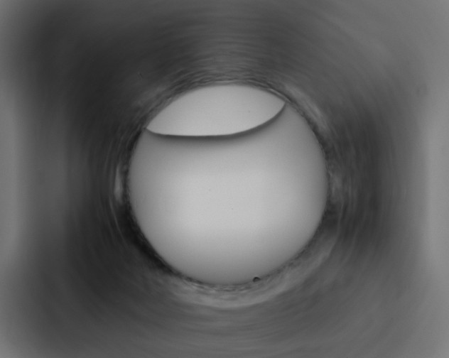 X0000088230026200705151058